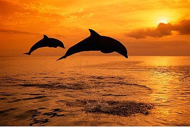 《肯泽拉传说：扎乌》推出免费试玩 折扣即将开启