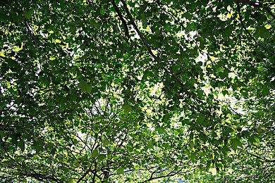 《蓝精灵：梦》实机预告 10月24日正式发售